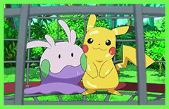 pokemon1